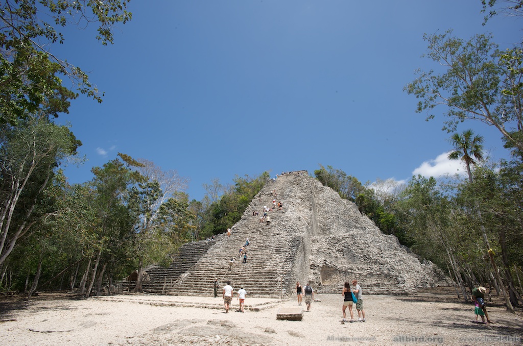 Coba Mayan Ruins%0ACoba Mayan Ruins%0A.jpg